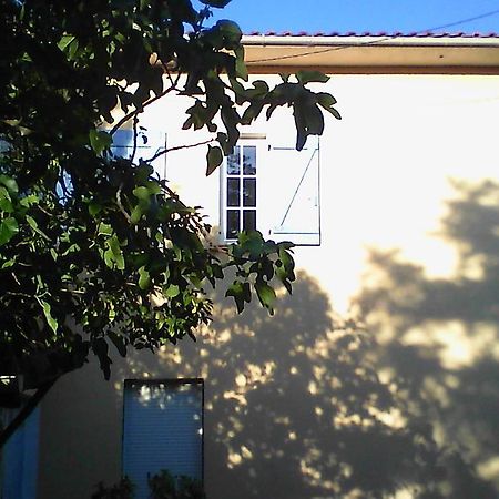 Apartment Albert Limoux Exterior foto