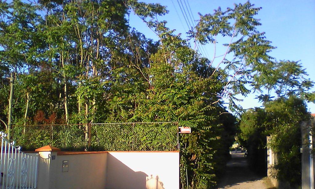 Apartment Albert Limoux Exterior foto