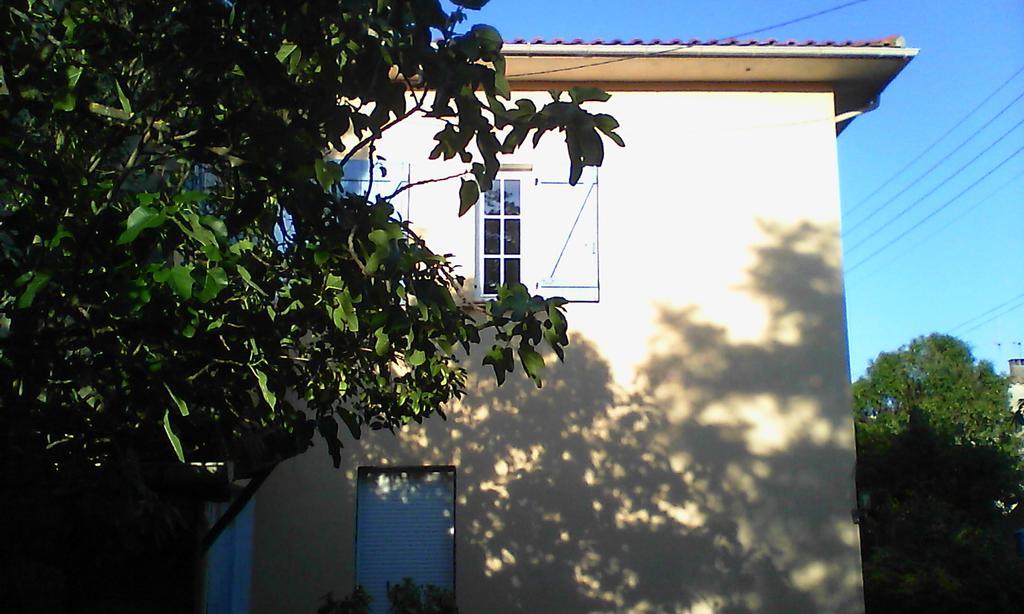 Apartment Albert Limoux Exterior foto